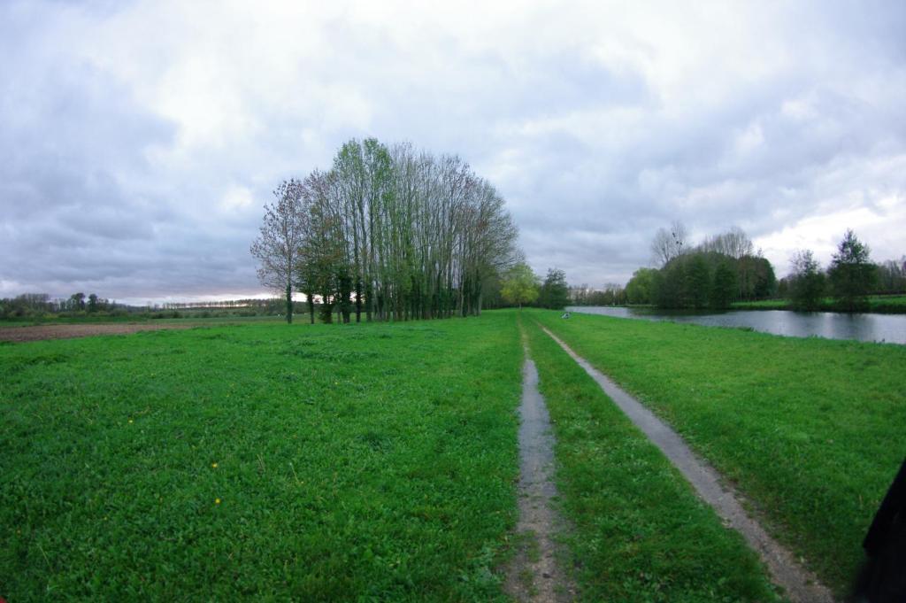 Hotel Du Saumon Buzancy  Buitenkant foto